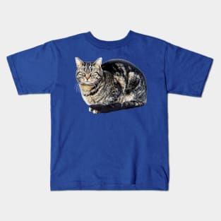 Tabby Cat Sitting Kids T-Shirt